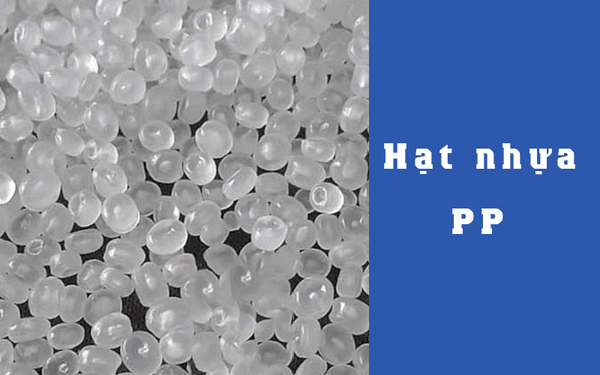 Trên một số dụng cụ có ghi kí hiệu nhựa PP