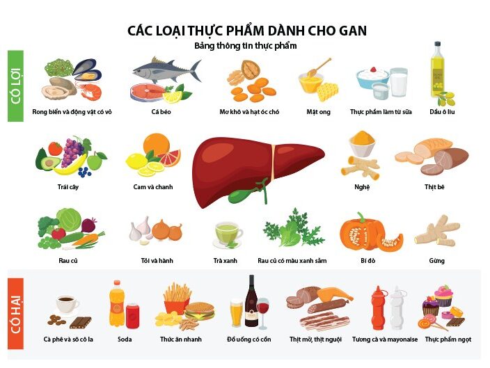 Các loại thực phẩn nên và không nên ăn cho người viêm gan