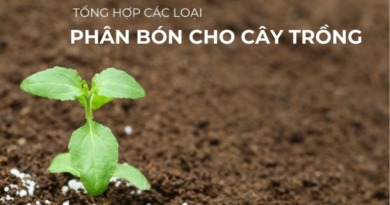 Các loại phân bón cho cây trồng