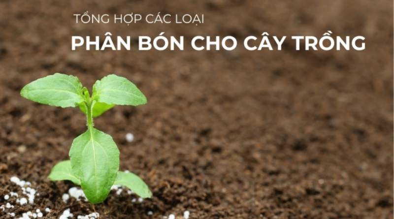 Các loại phân bón cho cây trồng