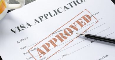 Family visit visa application process