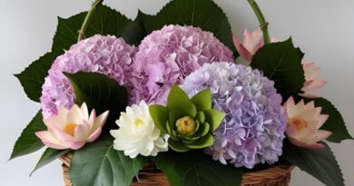 hoa-sinh-nhat-hop-phong-thuy-2