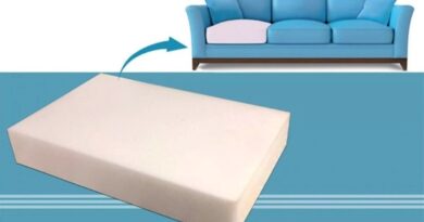 Đệm mút của sofa giường