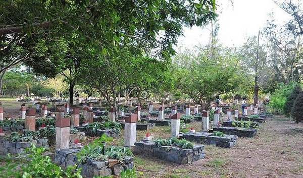 Nhận biết động mộ