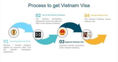 Vietnam Visa for Indians Processing Time & Urgent Options