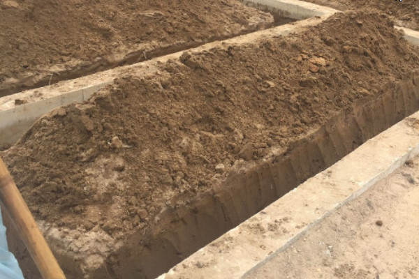 Đào hào chống mối