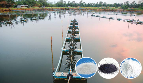 Hóa chất diệt khuẩn trong nước