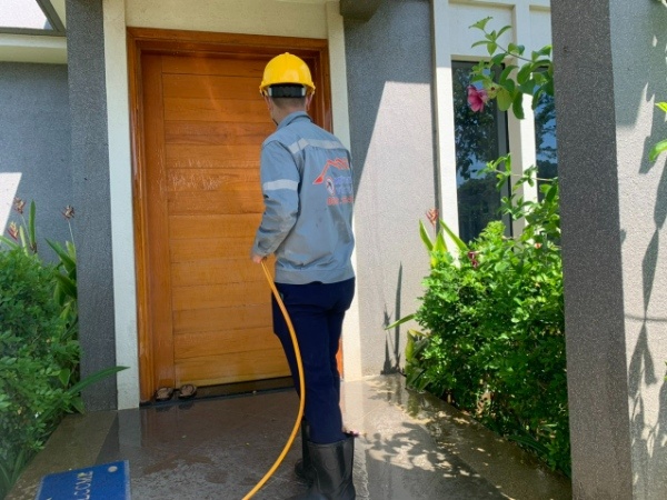 Thuê dịch vụ chuyên nghiệp