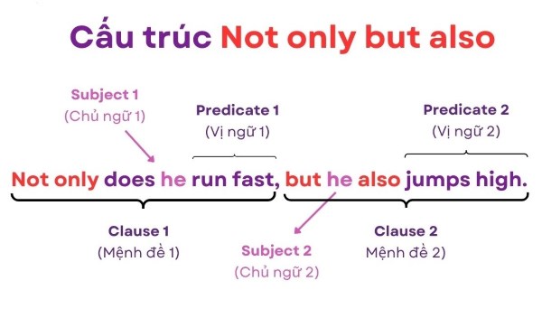 cach-dung-not-only-but-also-2