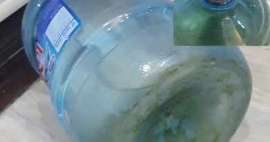 Nguyên nhân nước Lavie bình úp bị rêu xanh và cách khắc phục hiệu quả, an toàn