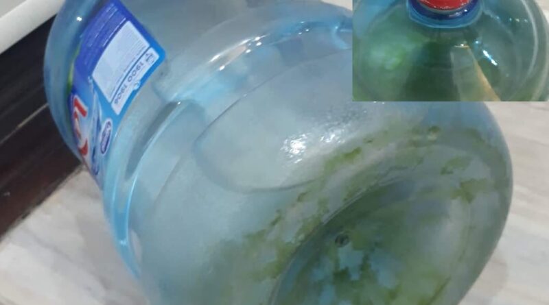 Nguyên nhân nước Lavie bình úp bị rêu xanh và cách khắc phục hiệu quả, an toàn