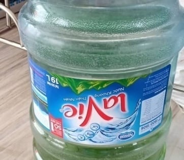 Rêu xanh thường xuất hiện khi bình nước đặt ở nơi có ánh sáng chiếu trực tiếp lâu ngày