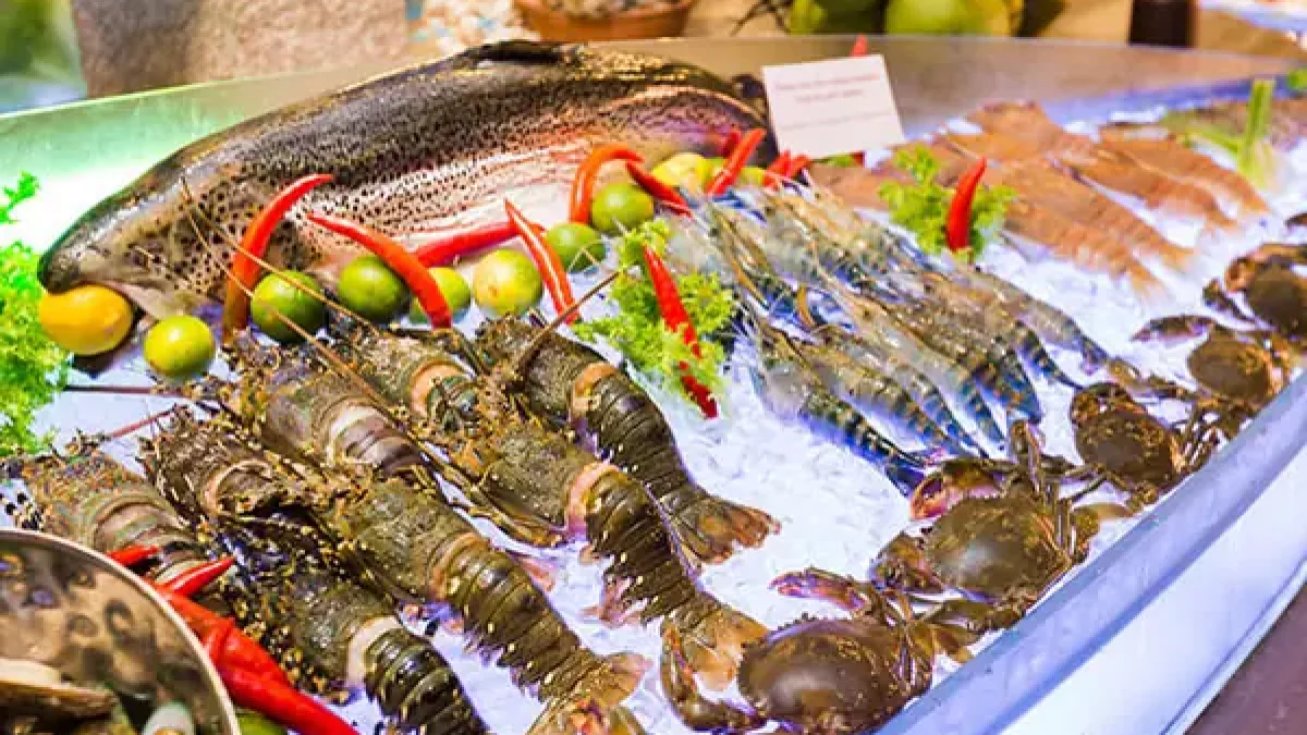 Ẩm thực biển trong hành trình khám phá Vịnh Lan Hạ