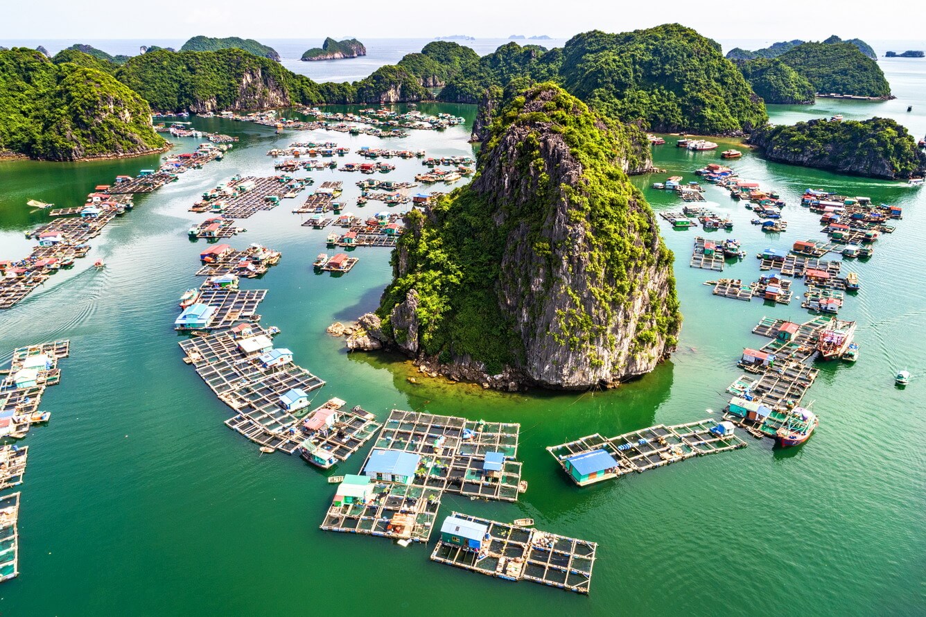 Kết nối văn hóa thông qua hoạt động làng chài